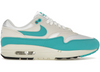 Nike Air Max 1 Dusty Cactus