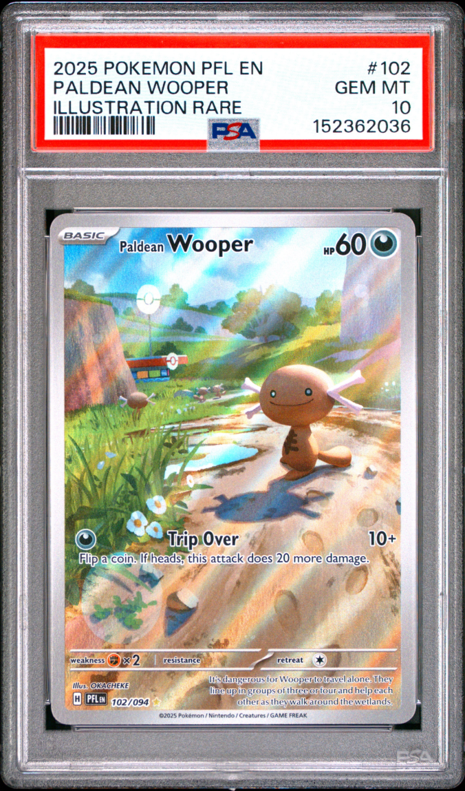 2025 POKEMON PFL EN-PHANTASMAL FLAMES #102 PALDEAN WOOPER ILLUSTRATION RARE PSA 10